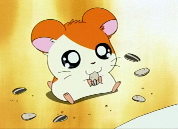 Hamtaro_comiendo_semillas