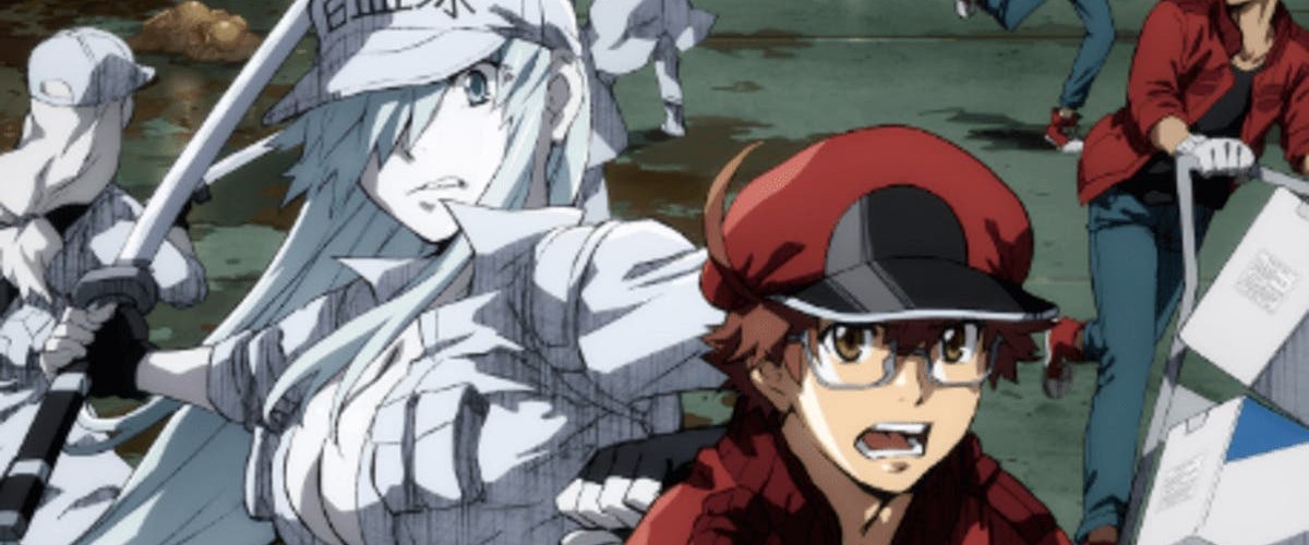 Cells at Work! revela el primer tráiler de su nuevo anime spin-off | ETC